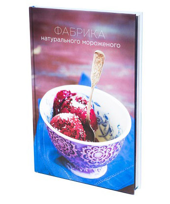 Книга BORK «Фабрика натурального мороженого» основное изображение