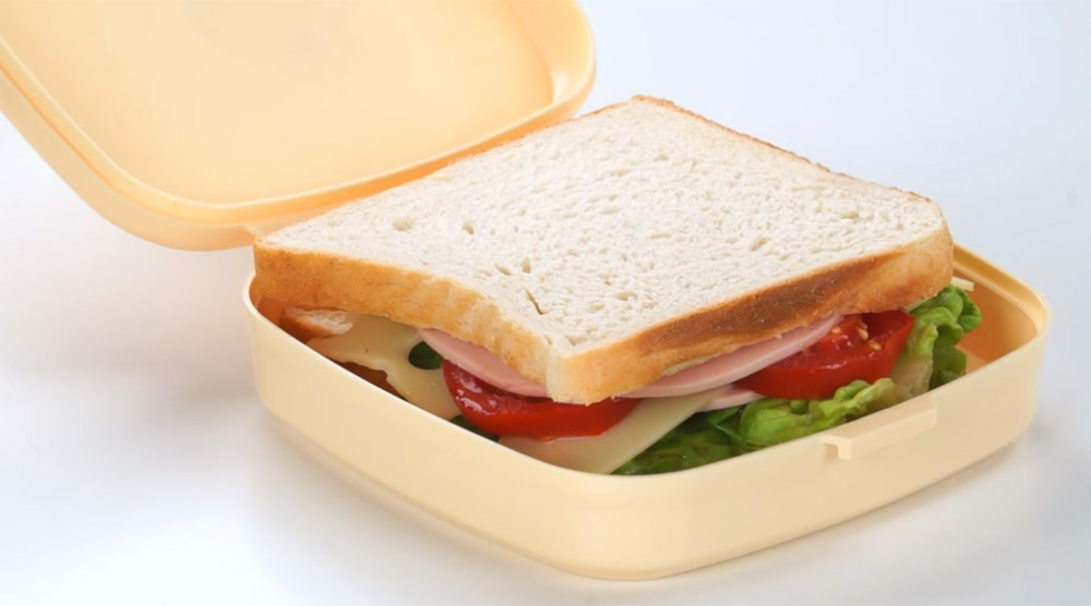 Четвертое дополнительное изображение для товара Ланч бокс для сэндвичей DINO, Tescoma 668334