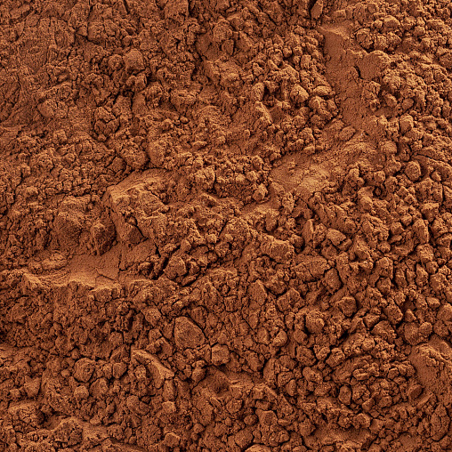 Первое дополнительное изображение для товара Какао-порошок без сахара Plein Arome 22/24%, Cacao Barry (Франция) – 1 кг,  DCP-22PLARO-89B