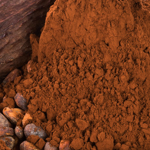 Третье дополнительное изображение для товара Какао-порошок 10/12 Dulcistar 1 кг