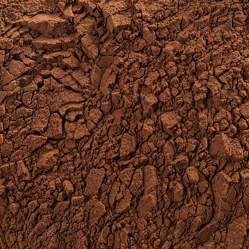 Второе дополнительное изображение для товара Какао-порошок Extra Brute Cacao Barry (Франция) 22-24%, 1 кг,  DCP-22EXBRU-RT-89B