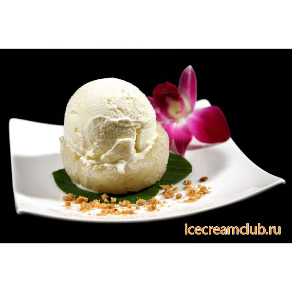 Второе дополнительное изображение для товара Сухая смесь для мороженого Speedy Gelato «Раффаэлло» (белый шоколад и кокос), пакет 1,25 кг (Comprital, Италия)